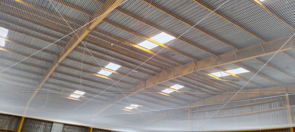 Building Safety Nets in Chennai | Top Bird Nets Dealers in Chennai