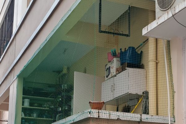 Pigeon Safety Nets Fixing Cost in Chennai | Call for Bird Netting